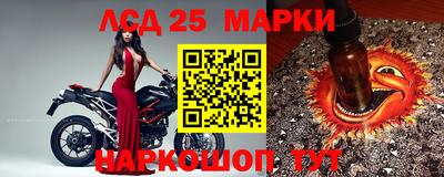 сатива Брянск