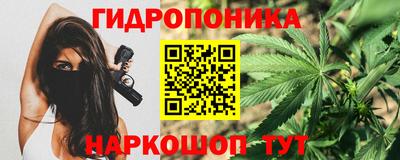 ГАЛЛЮЦИНОГЕННЫЕ ГРИБЫ Владивосток