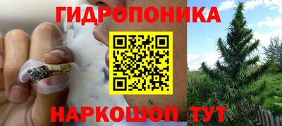 ГАЛЛЮЦИНОГЕННЫЕ ГРИБЫ Владивосток