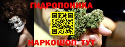 спиды Владимир