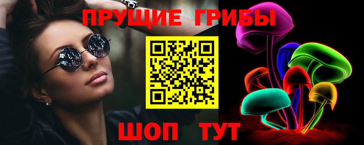 Псилоцибиновые грибы прущие грибы Ачхой-Мартан