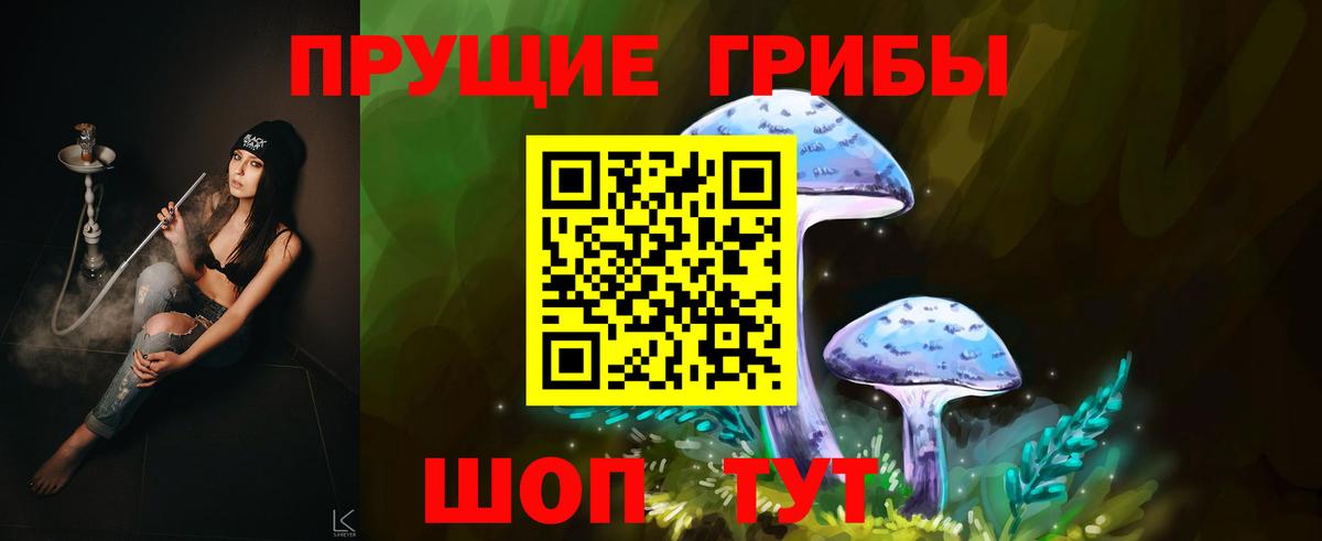 Ачхой-Мартан  Псилоцибиновые грибы GOLDEN TEACHER  Вход с VPN 